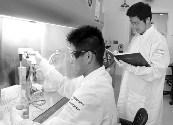 photo: bioengineering students Vincent Wong (left) and Kevin Chen (right) set up prostate cancer cells to test the efficacy of an anti-cancer therapy that they have been developing in Professor Daniel Kamei s laboratory