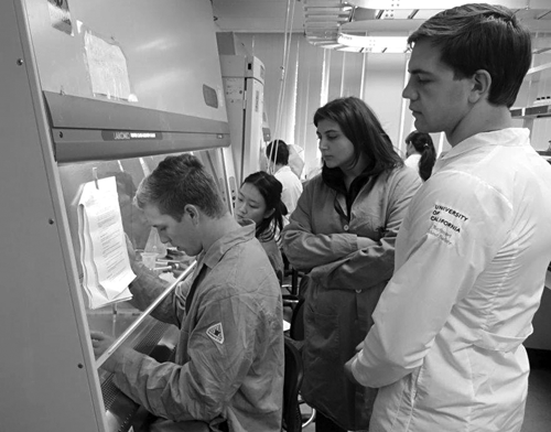 bioengineering students in laboratory