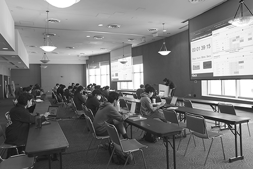 students taking part in programming contest