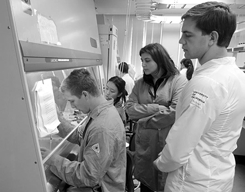 bioengineering undergraduates in laboratory