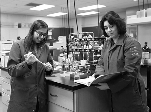 professor and helper in MicroNEER laboratory