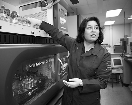 professor Shaily Mahendra